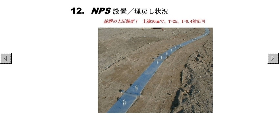 13.nps-slide.jpg